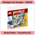 LEGO Ninjago Ice Dragon 30649