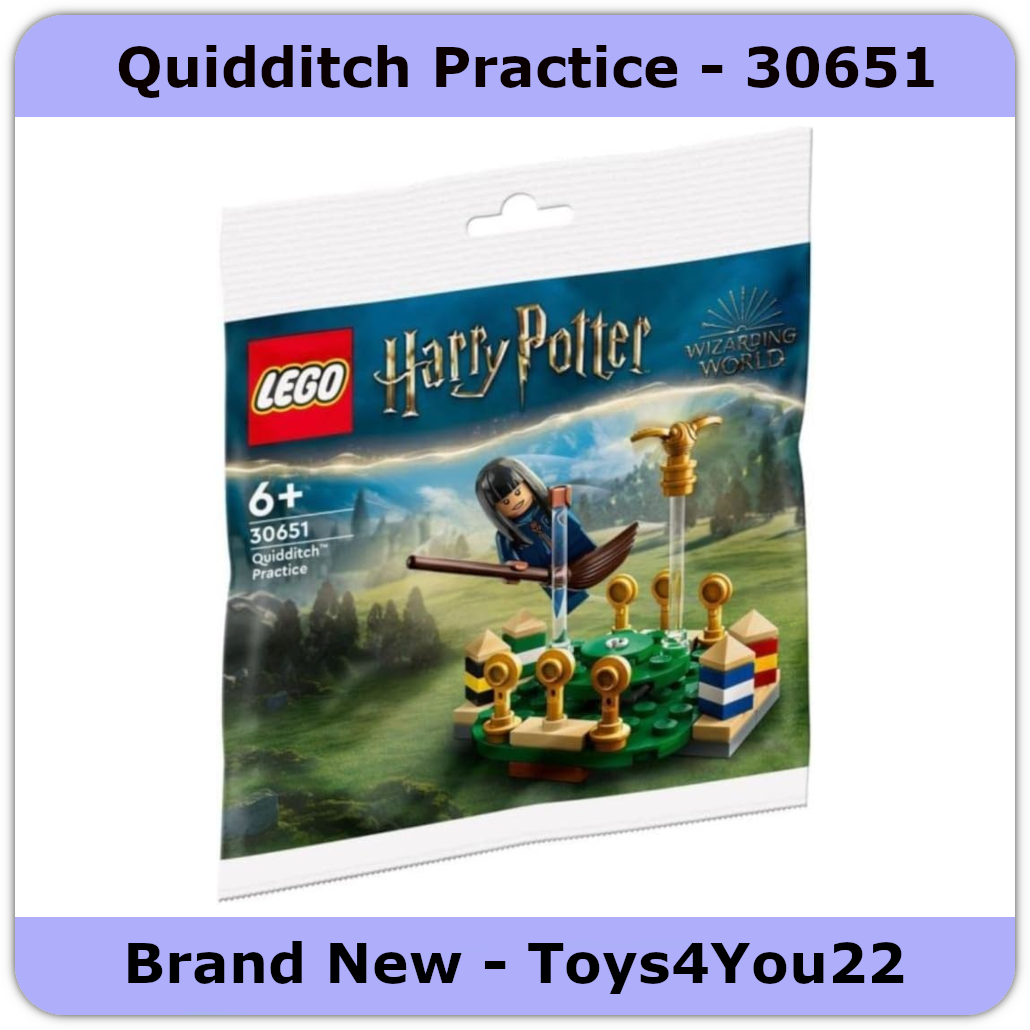 LEGO Harry Potter Quidditch Practice 30651